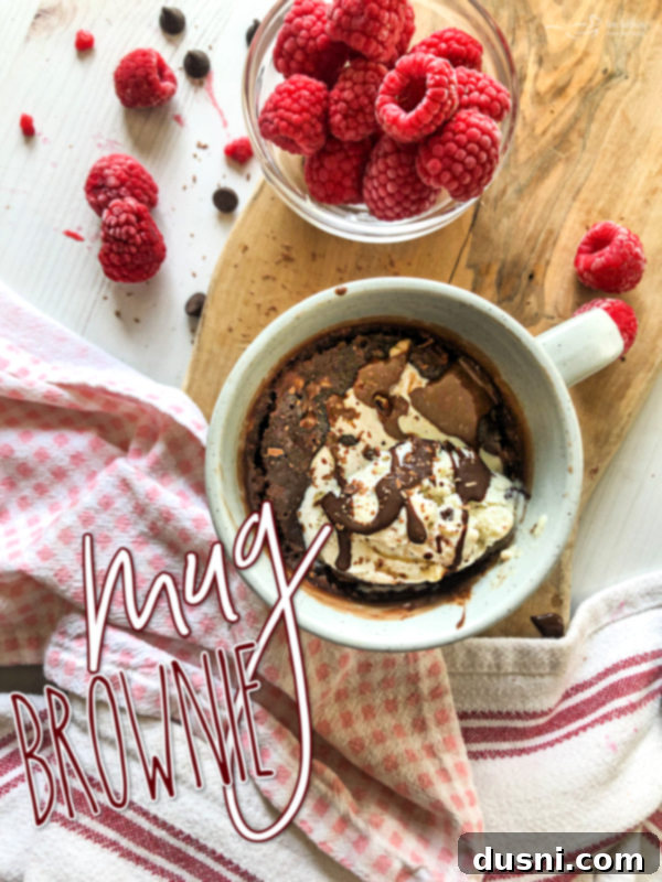 Easy Mug Brownie 11 Final plated mug brownie, beautifully garnished and ready to eat