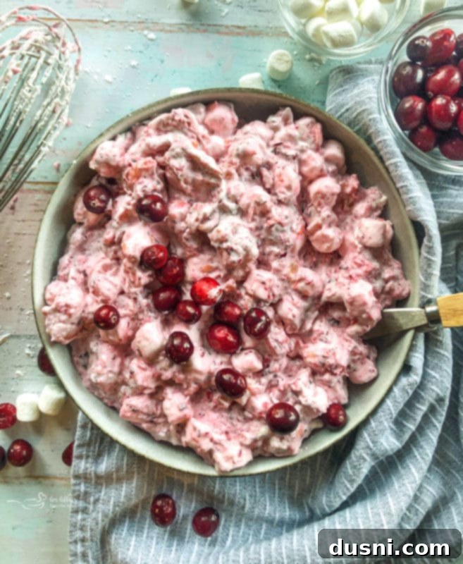 Close-up of a bowl of Cranberry Fluff Salad, a festive pink fruit salad with cranberries, marshmallows, and pineapple. Perfect Thanksgiving side dish.