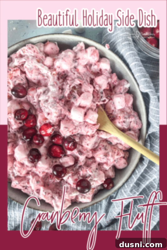 A stunning bowl of Cranberry Fluff Salad, beautifully garnished with fresh cranberries, serving as a perfect festive centerpiece or side dish.