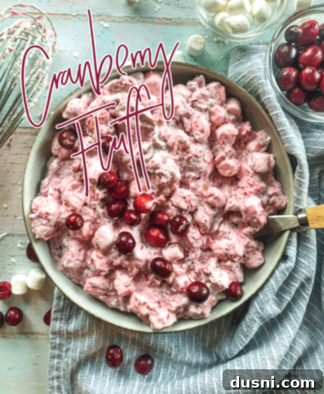 A hero shot of Cranberry Fluff Salad, artfully presented in a glass bowl, garnished with fresh cranberries, perfect for Thanksgiving or Christmas.