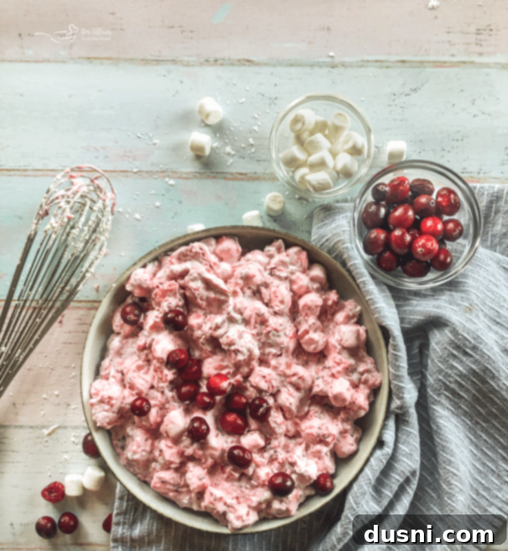 A large serving bowl filled with Cranberry Fluff Salad, garnished with whole fresh cranberries and a sprig of mint, ready for a holiday table.