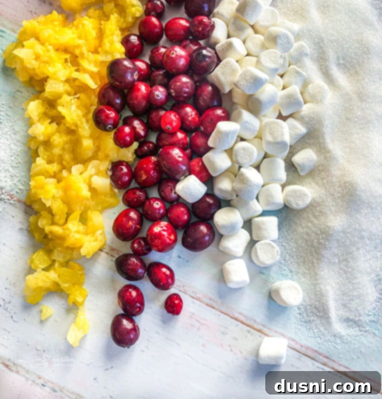 Essential ingredients for Cranberry Fluff Salad laid out neatly: fresh cranberries, miniature marshmallows, crushed pineapple, sugar, salt, and heavy cream.