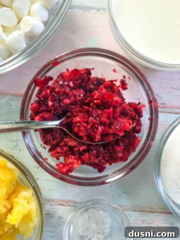 Step 1 in making Cranberry Fluff: Fresh cranberries being processed in a food processor to a fine consistency.
