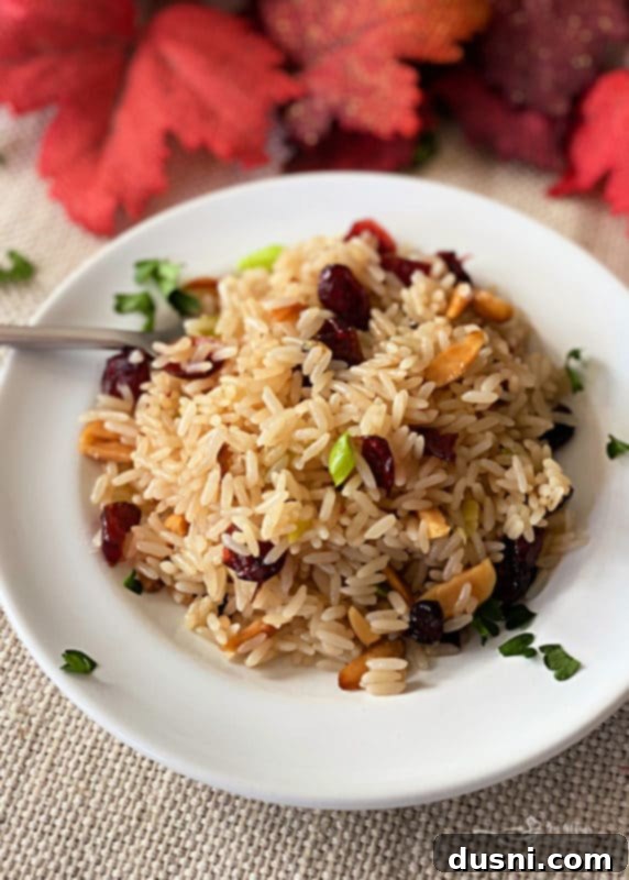 Homemade Rice Pilaf with Cranberries and Almonds served in a white bowl