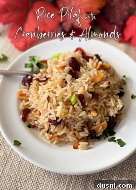 Appetizing image of Rice Pilaf with Dried Cranberries and Slivered Almonds ready for serving