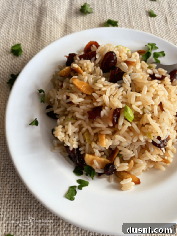 Close-up of fluffy rice pilaf with cranberries and almonds
