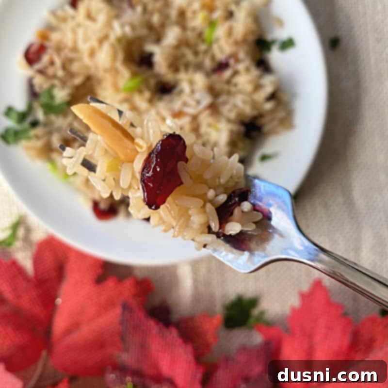 A bowl of rice pilaf with cranberries and almonds, ready to be served