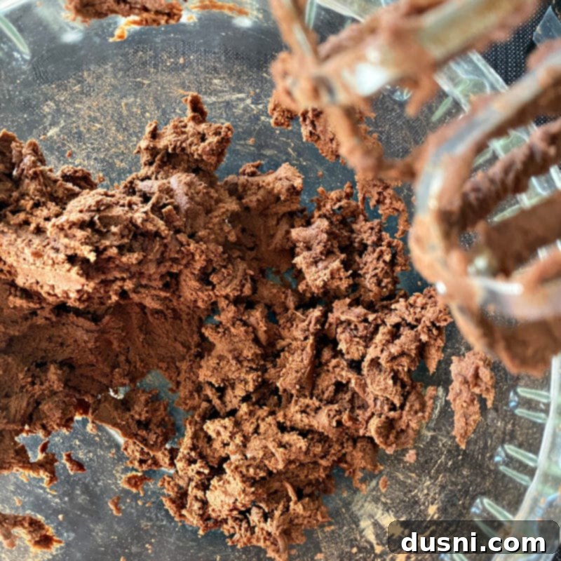 Sugar-Kissed Chocolate Delights 7 Preparing Halloween Chocolate Sugar cookies with mixed up dough in a bowl