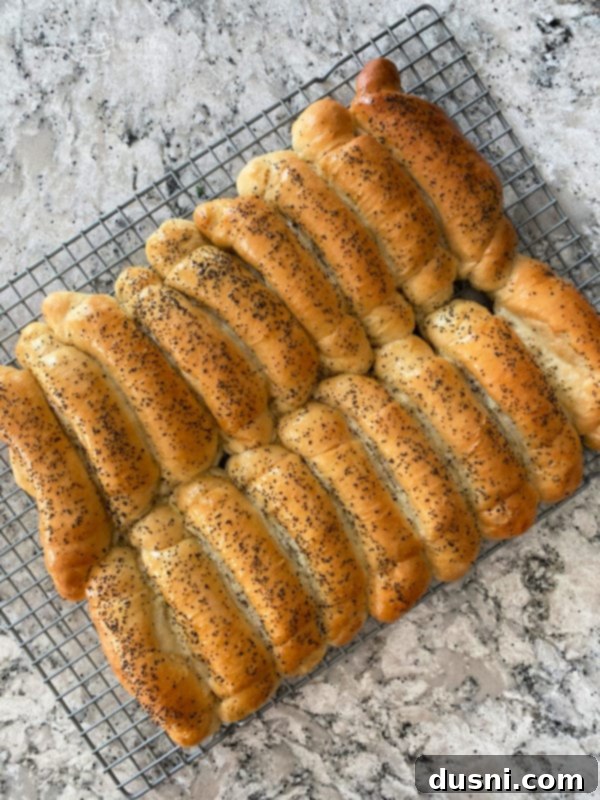 Poppy seed rolls cooling on wire racks after being brushed with oil.
