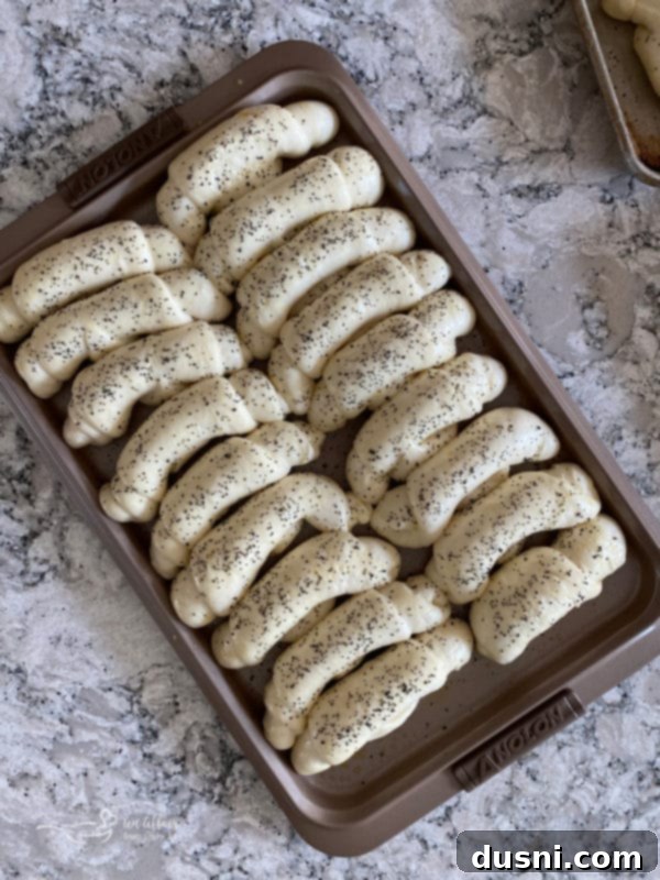 Risen rolls on a baking sheet, brushed with egg wash and sprinkled with poppy seeds, ready for the oven.