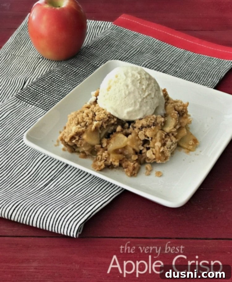 The Very BEST Apple Crisp