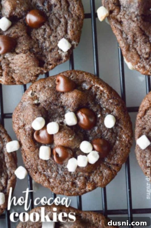Cookie Dough Brownie Dream 6 Hot cocoa cookies with melted marshmallows and chocolate drizzle on a cooling rack.