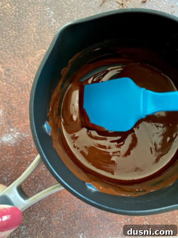 Cookie Dough Brownie Dream 9 Melted dark chocolate in a small saucepan, stirred until smooth and glossy.