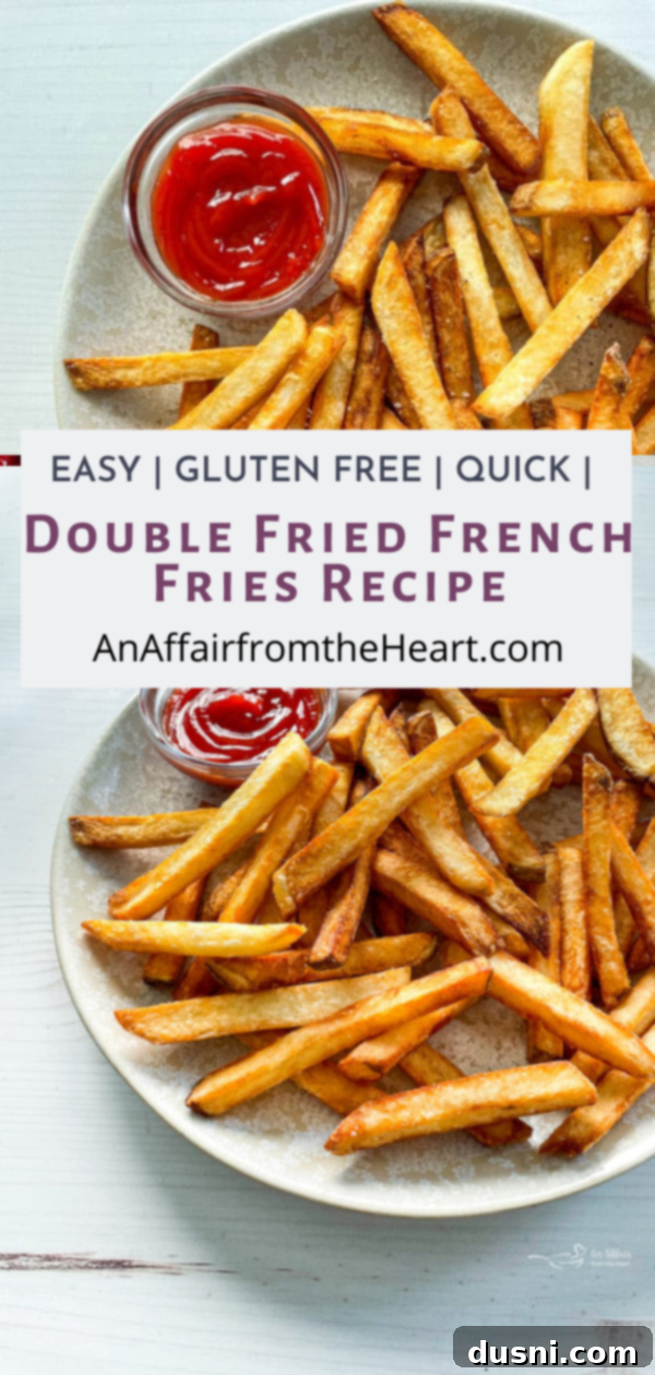 Homemade double fried fries with a captivating description for social media.