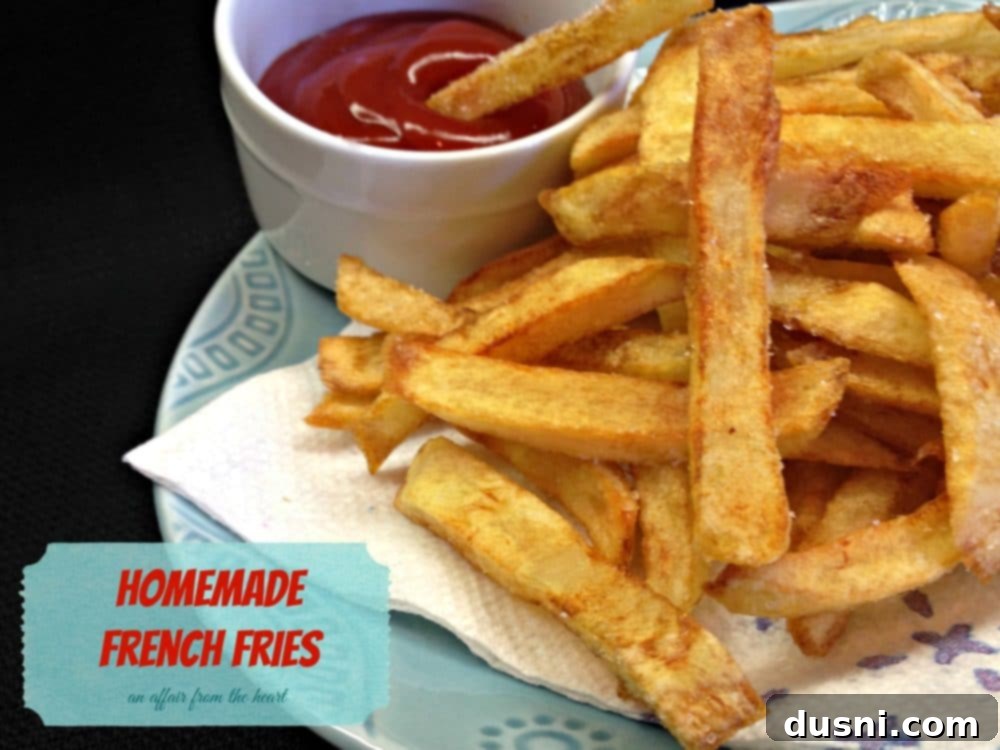 close up of french fries and a small bowl of ketchup on a plate with text "homemade french fries"