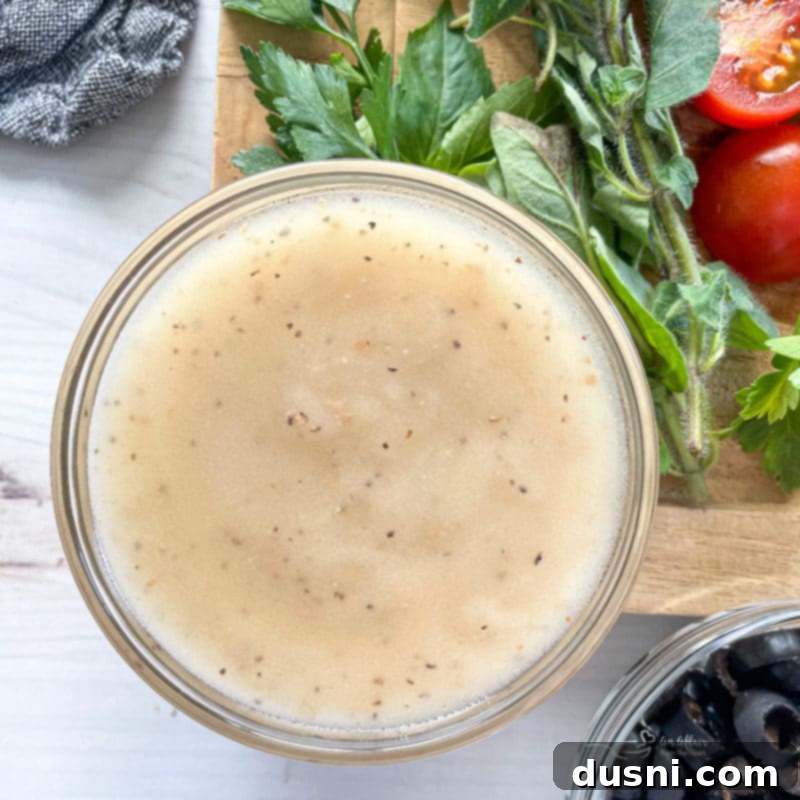 Italian Deli Pasta Salad 6 One jar of dressing