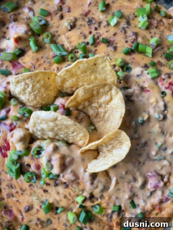 Golden Sausage & Cheese Fondue 2 Sausage Cheese Dip with tortilla chips