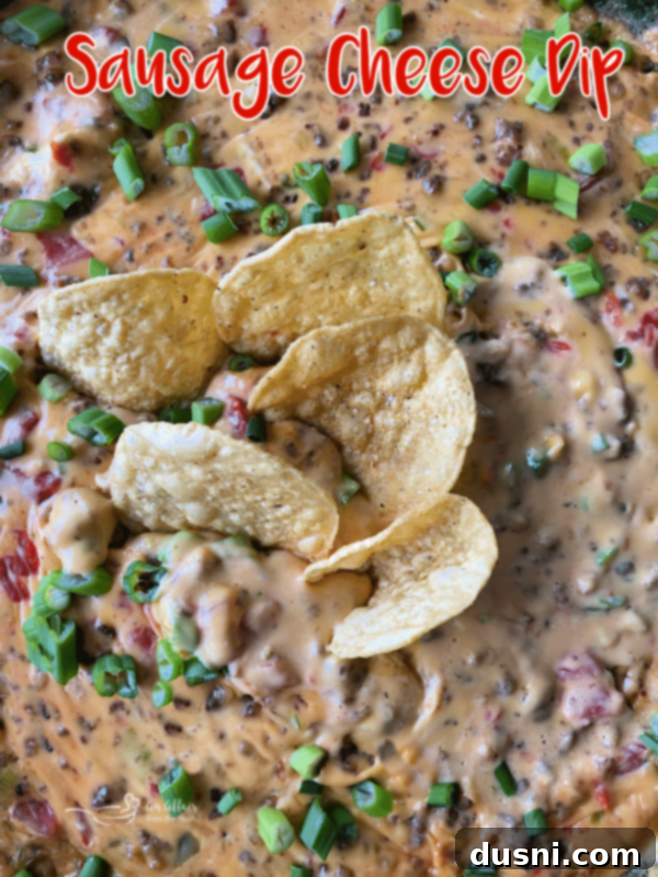 Golden Sausage & Cheese Fondue 10 Sausage Cheese Dip with chips