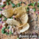 Golden Sausage & Cheese Fondue 12 Close up of sausage cheese dip with chips in it