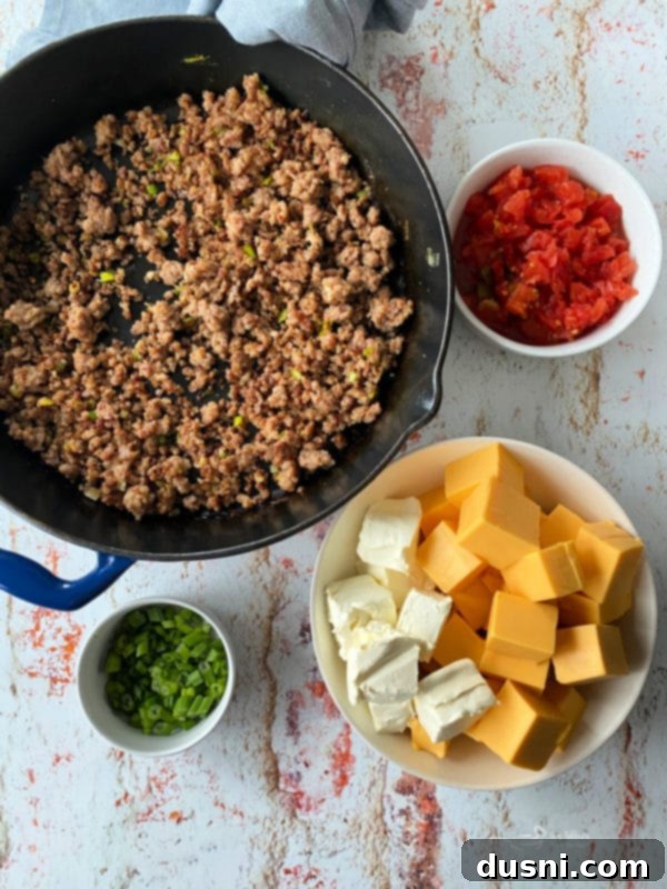 Golden Sausage & Cheese Fondue 3 Another view of the skillet sausage cheese dip