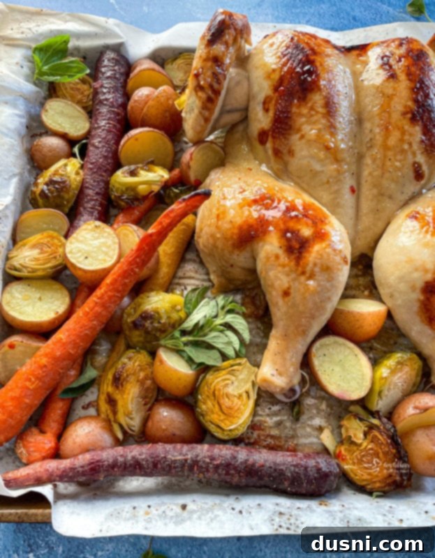 Top view of roasted spatchcock chicken on baking sheet with vegetables