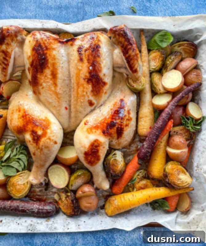 Top view of spatchcock chicken on baking sheet with carrots, potatoes, and Brussels sprouts