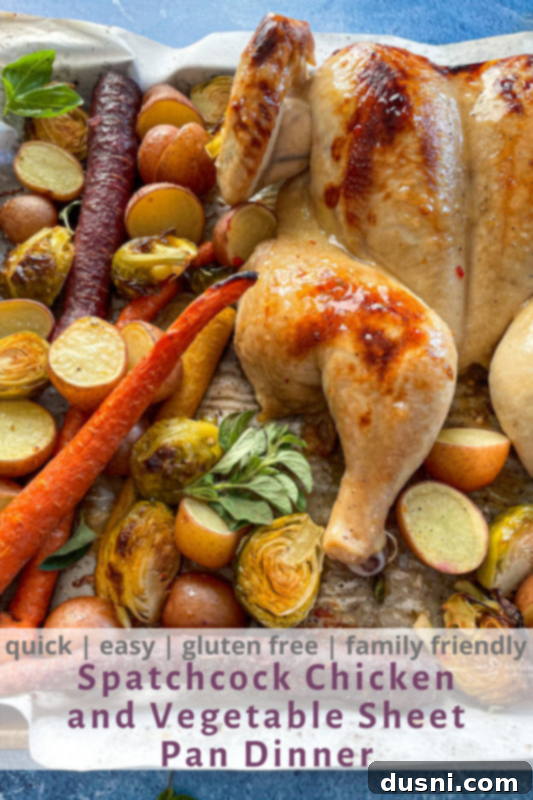 Spatchcock chicken with vegetables on baking sheet