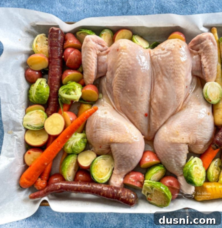 Top view of spatchcock chicken on baking sheet with carrots, Brussels sprouts, and potatoes