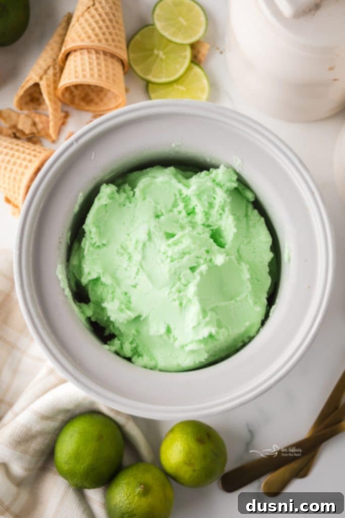 Various ingredients for Daiquiri Ice, including lime, rum extract, and food coloring.