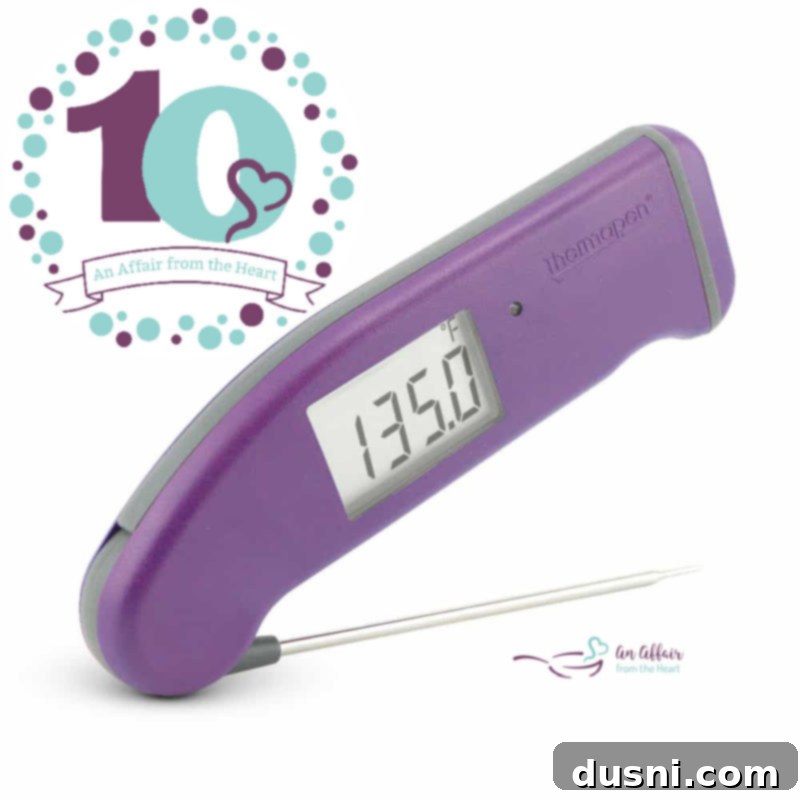 Thermapen Mk4 thermometer in purple