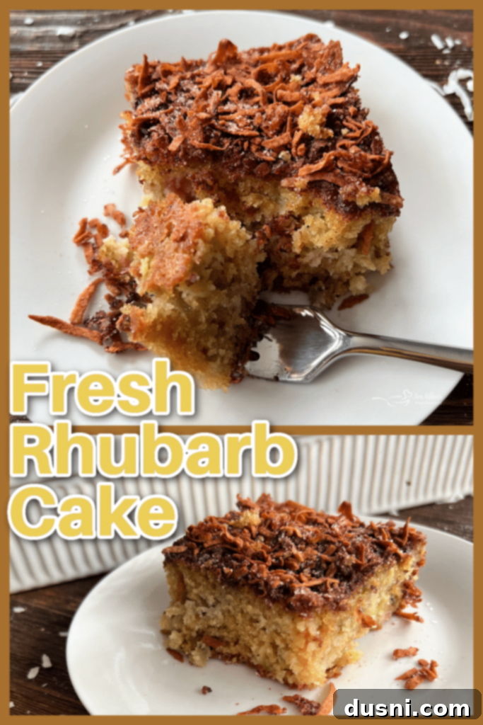 Homestyle Rhubarb Cake 14 img 2115 13