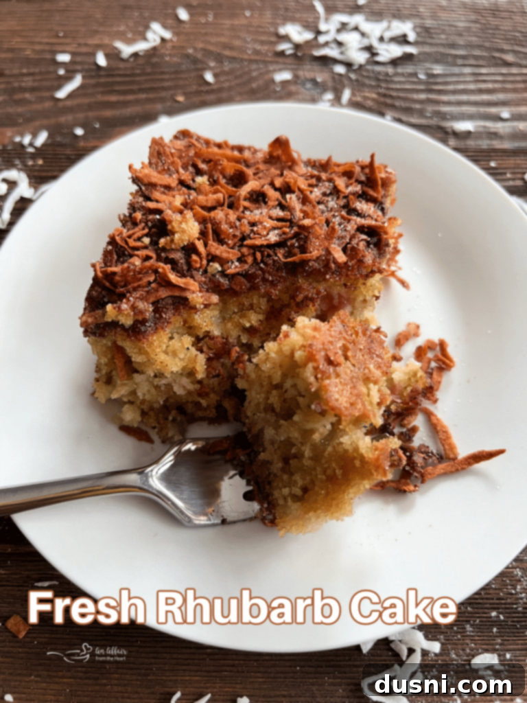 Homestyle Rhubarb Cake 16 img 2115 15