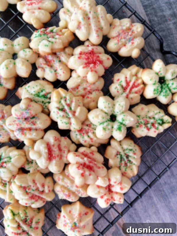 Ekstraktlarla Aromalı Şeker Yapımı 12 Close view of delicate spritz cookies with colorful sprinkles, showcasing how flavored sugar could be used as a topping or incorporated into the dough.