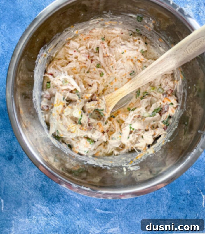 Chicken, cream cheese, green onions, bacon, chicken broth, chicken, and ranch dressing mix mixed together