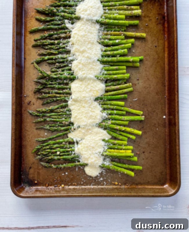 Top view of asparagus on baking sheet with cheese sauce