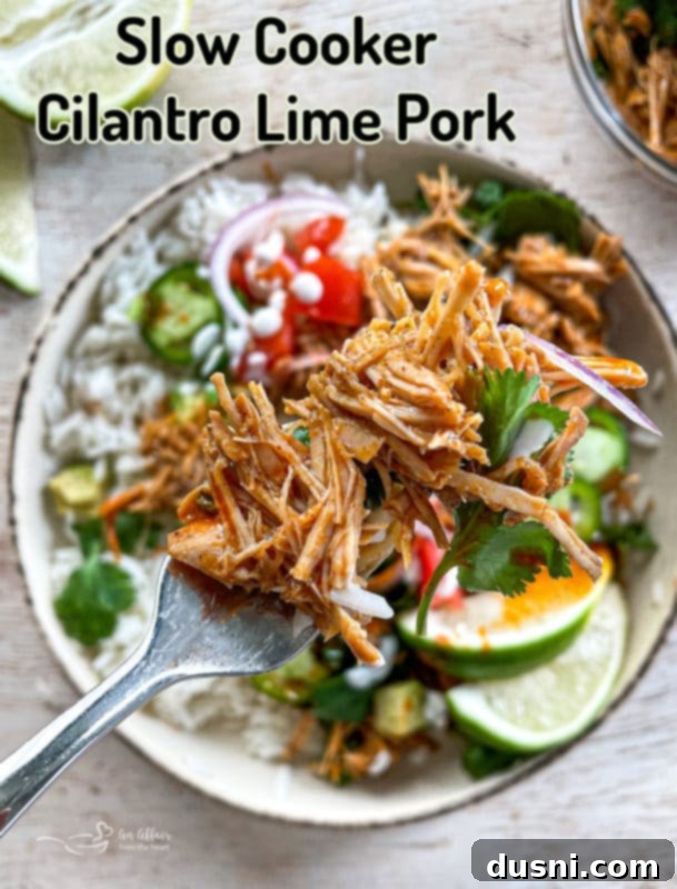 A bowl of slow cooker cilantro lime pork, with a blurred background suggesting a home kitchen setting.