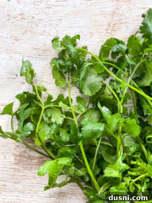 A close-up top view of fresh green cilantro leaves, highlighting their vibrant color and texture, ready to be incorporated into the slow cooker pork.
