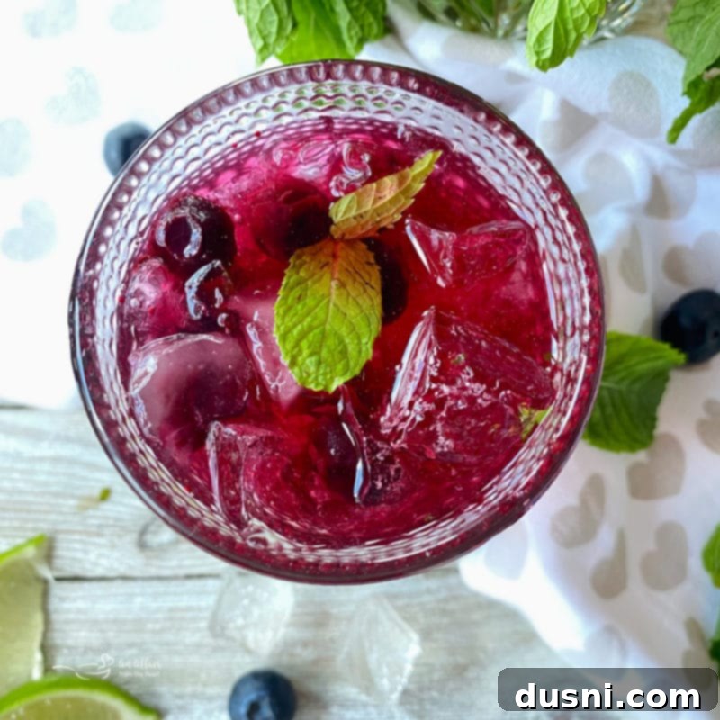 Indigo Berry Refresher 8 A close-up of a Blueberry Mojito cocktail