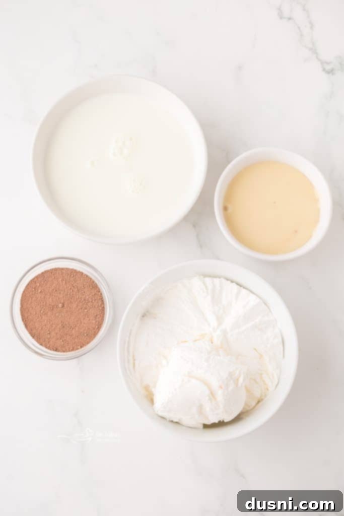 Whip Up a Homemade Frosty 5 A close-up of the smooth, creamy texture of a homemade chocolate Frosty.