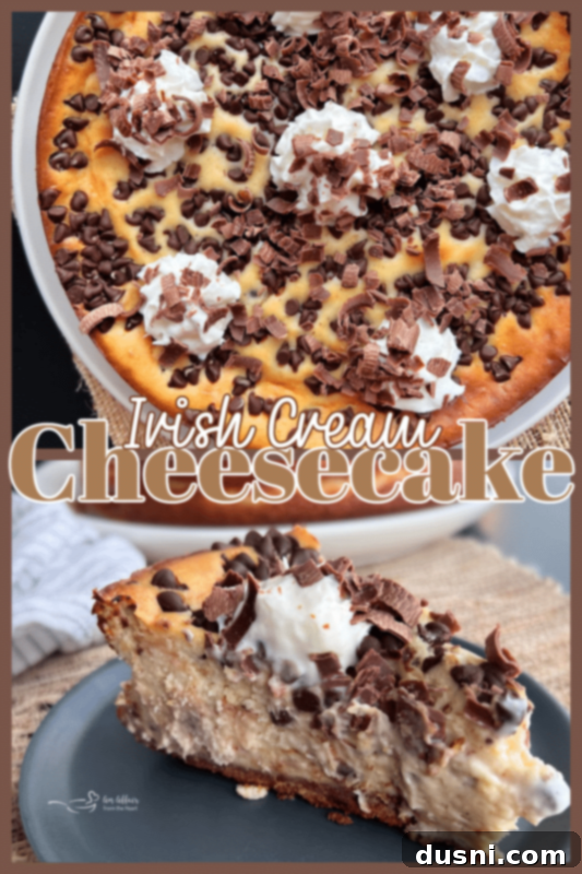 Creamy Irish Dream Cheesecake 12 A large slice of Irish Cream Cheesecake with whipped cream and chocolate shavings.