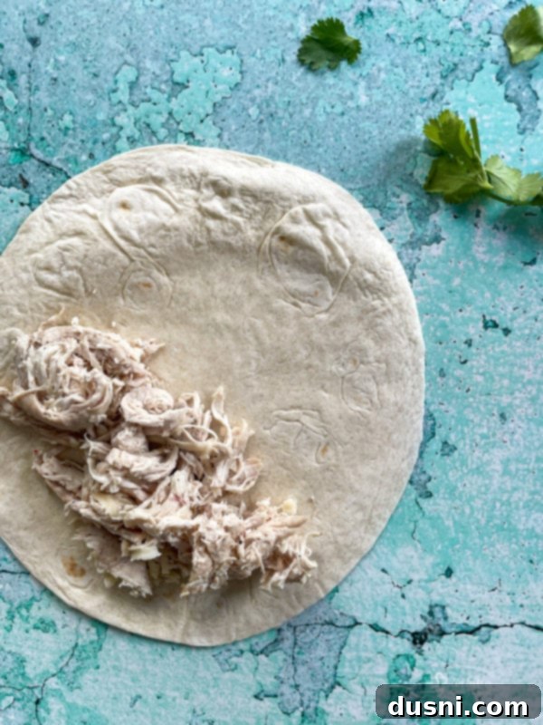 Shredded chicken on one half of tortilla