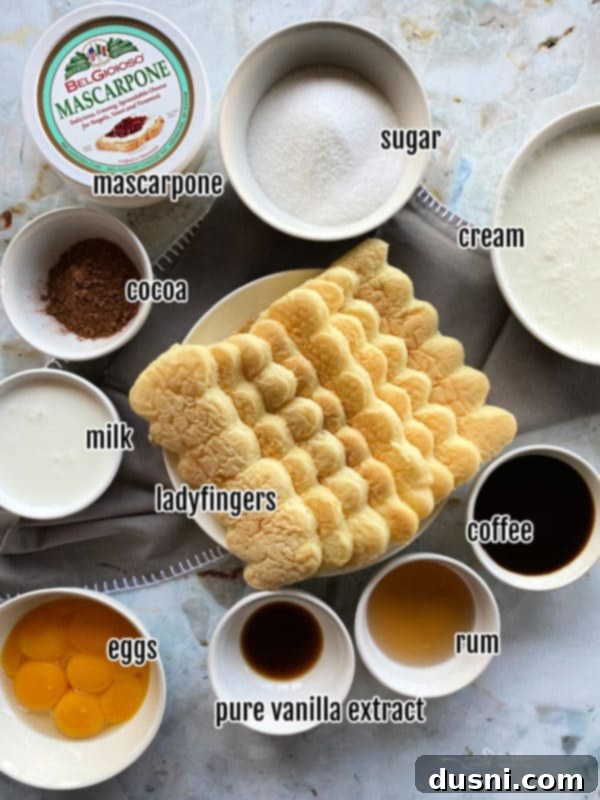 Close-up of tiramisu layers, topped with cocoa.