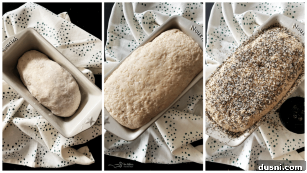 Third step of bread making: dough rising in a loaf pan, covered.