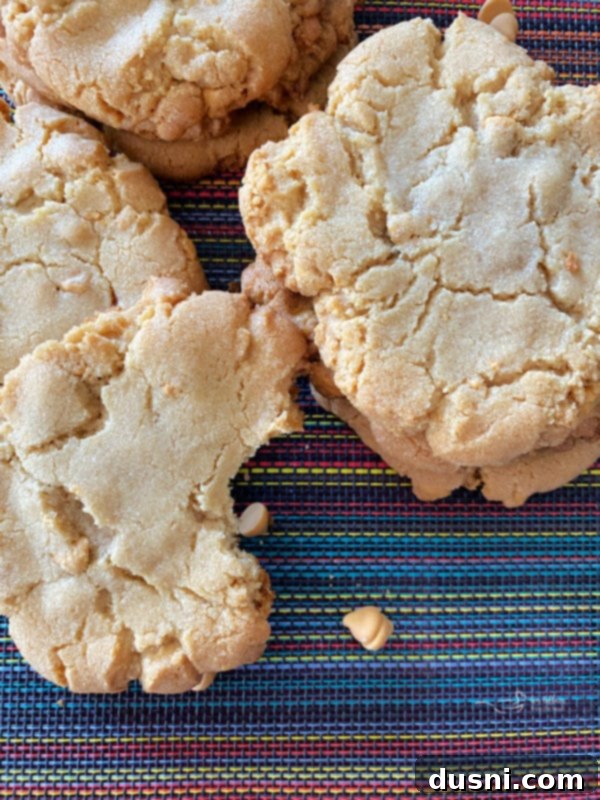 Giant Butterscotch Cookie Close-up close view of giant butterscotch cookies