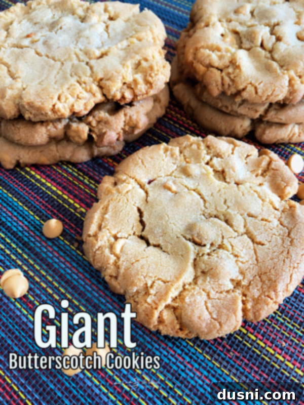 Giant Butterscotch Cookies Banner text with cookie photos that says, "giant butterscotch cookies"