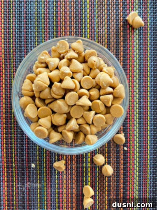 Golden Butterscotch Giants 3 one bowl of butterscotch cookies