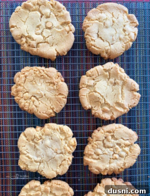 Butterscotch Cookies Cooling top view of cookies cooling on wire rack