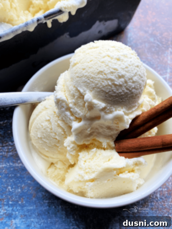 Velvet Homemade Cinnamon Vanilla Ice Cream 2 Rich and creamy Homemade Cinnamon Vanilla Ice Cream. No store-bought ice cream can top the flavor of making your own cinnamon and vanilla bean ice cream from scratch! Your desserts and pies will welcome this lightly spiced ice cream, too! What pie or crisp wouldn't benefit from a little extra cinnamon spice?