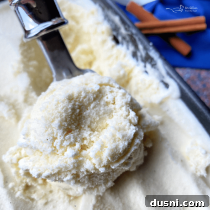 Velvet Homemade Cinnamon Vanilla Ice Cream 3 Homemade Cinnamon Vanilla Ice Cream
