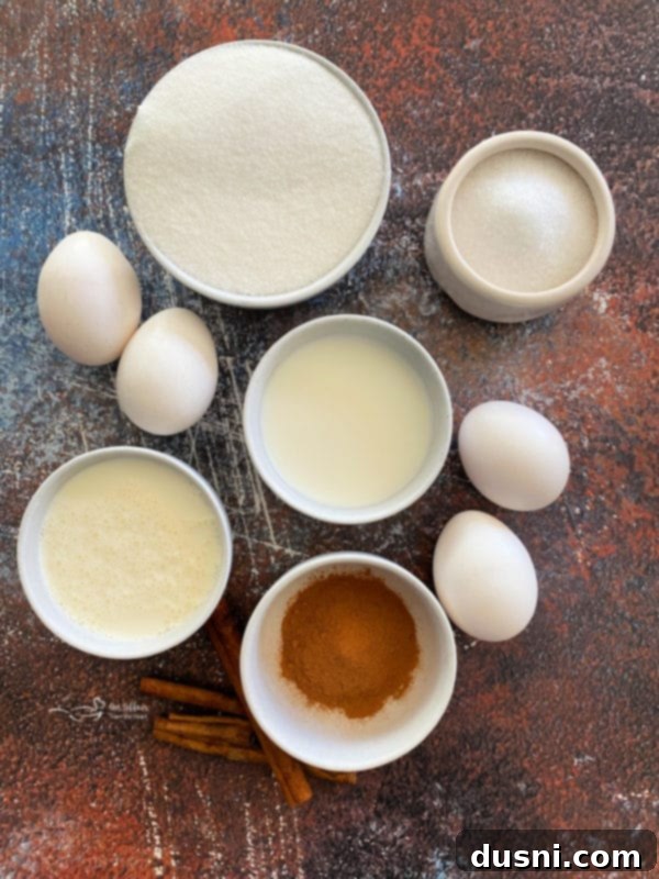 Velvet Homemade Cinnamon Vanilla Ice Cream 5 Cinnamon Vanilla Ice Cream